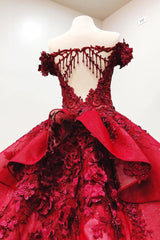Burgundy Ball Gown Quinceanera Dress with Beading and 3D Appliques